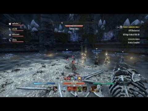 Fang Lair Speed Run No Death Tank POV [PS4 NA]