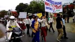 preview picture of video 'Anti Tobacco Awareness Free School Campaign Rally Organised By Don Bosco High School. Hojai.'