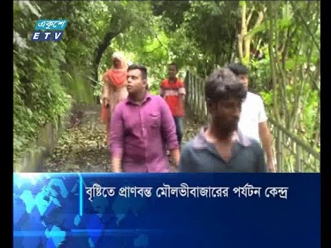 বৃষ্টিতে প্রাণবন্ত মৌলভীবাজারের পর্যটন কেন্দ্র