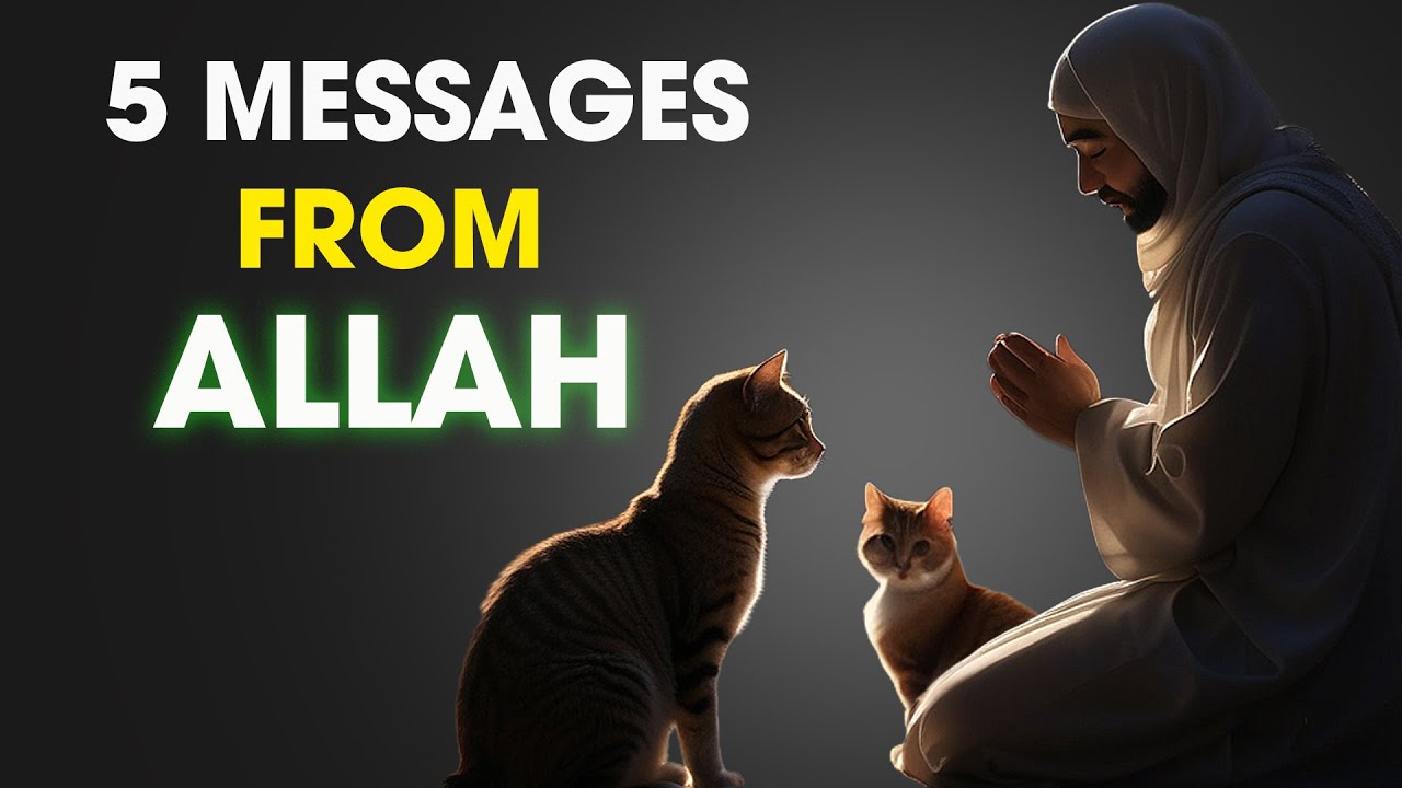 IF A CAT COMES CLOSE TO YOU, HERE ARE 5 MESSAGES FROM ALLAH!