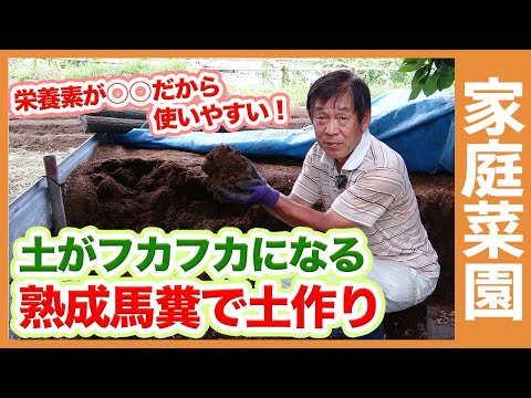 堆肥化した馬糞の使い方は？肥沃な作物を育てるための利点とヒント  庭園