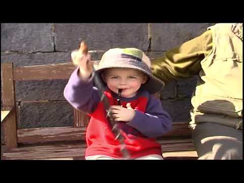 Me An' Me Grandad By Richie Kavanagh