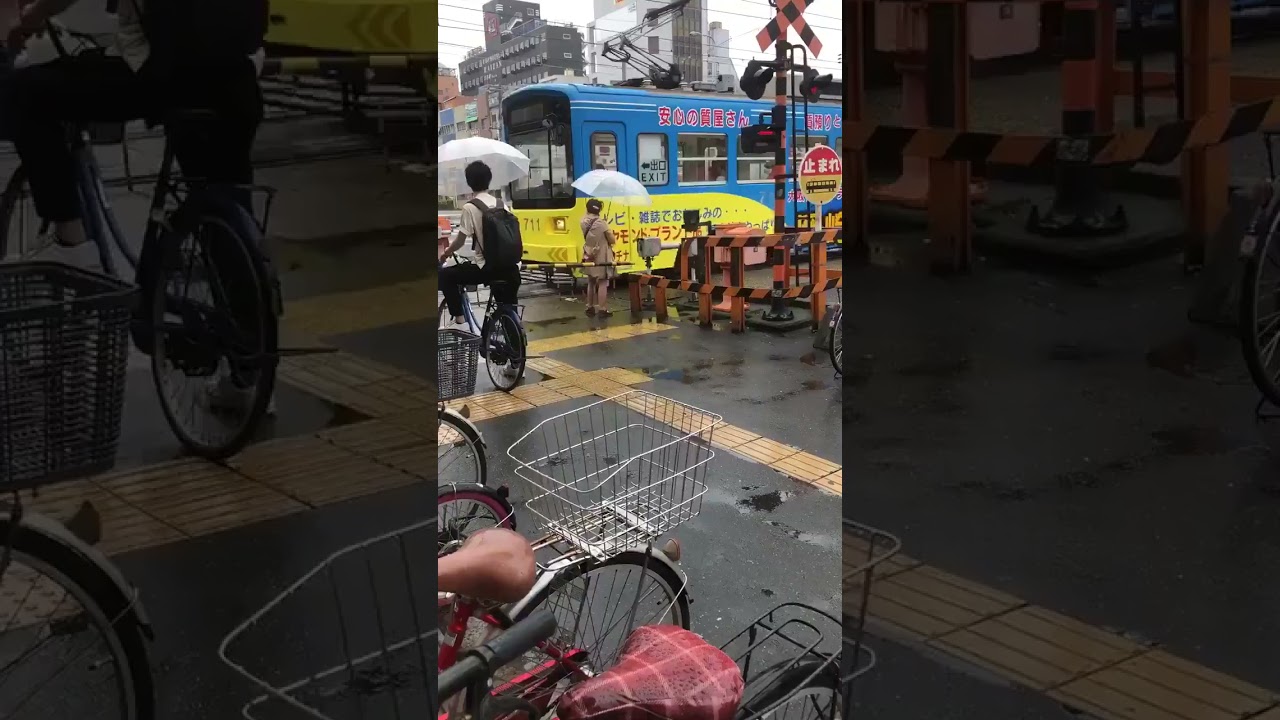 踏切迷惑おばさん