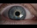 WORLD WEATHER NETWORK Facebook Vimeo YouTube