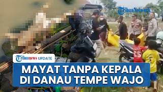 Warga Ungkap Kronologi Temuan Mayat Tak Berkepala di Wajo: Mau ke Kebun, Saya Cium Bau Menyengat