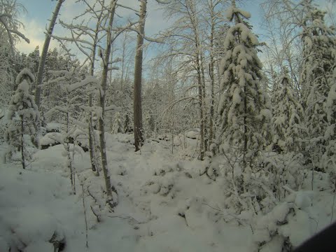 der Winter kam zurück
