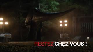 Miniature de la vidéo