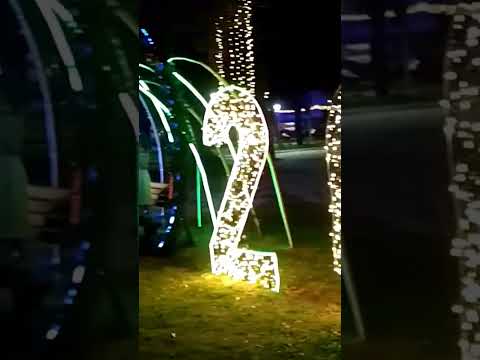 ELEGIDO EL MEJOR ARBOL NAVIDEÑO DE LA PROVINCIA DE SATA FE!! RECONQUISTA SANTA FE