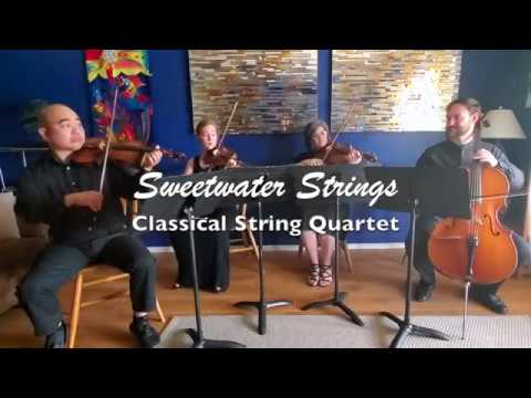 Promotional video thumbnail 5 for Sweetwater Strings
