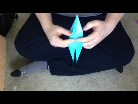Origami with J. J. - Lynx Lily