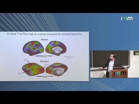 John Murray: "Neural Circuit Modeling of Large-Scale Brain Dynamics for Computational Psychiatry"