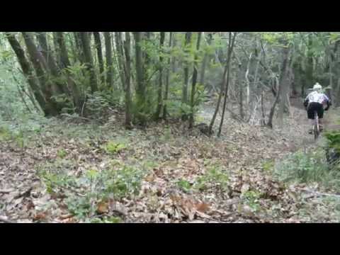 Downhill Vezzi Portio