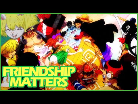 Carrot's Friendship with the Straw Hats Matters