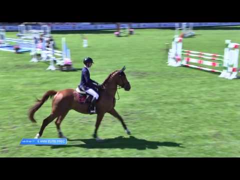 CALIGOLA il CESARE - TRAVAGLIATO 2017