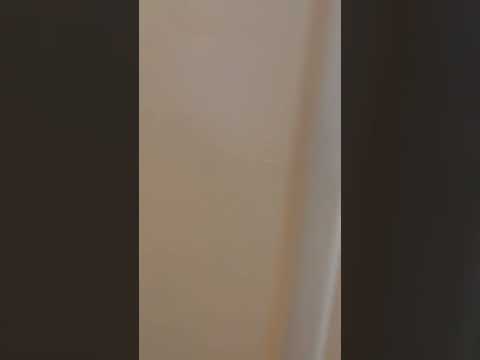 527 South 42nd Street - Video 2 of 2