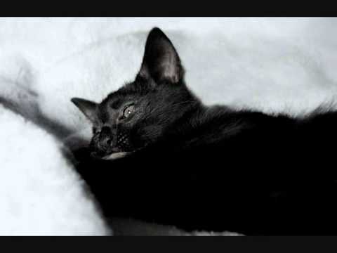 W MOIM MAGICZNYM DOMU