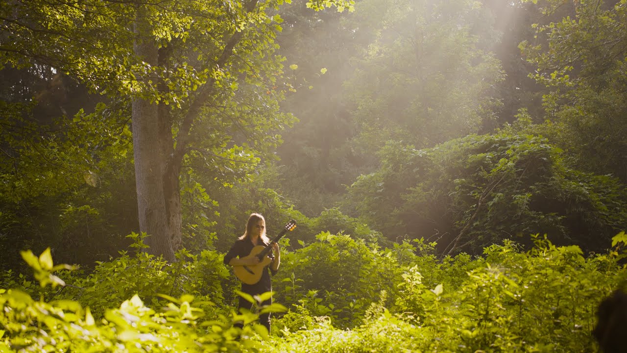 Promotional video thumbnail 2 for Gladius (Guitarist): Flamenco, Spanish, Classical - Atlanta