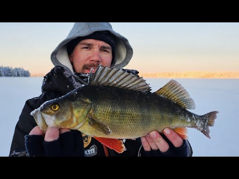 Kalastusta Pohjois-savosta and Ruthless Fishing TV