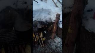 Ссылка