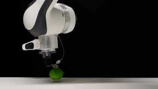Adaptive Self-Sealing Suction-Based Soft Robotic Gripper (pick-up demo with a lime)