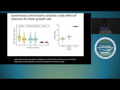 July 28th - Experimental Evolution IV