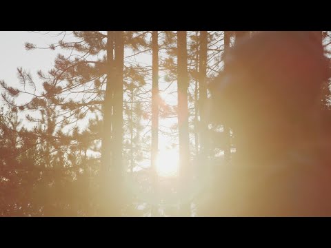 ECLEKTIC - Interperceptual [Official Video] AmbPulsars