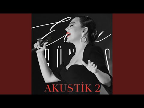 Profesyonel Taşımacılık