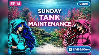 Sunday Tank Maintenance: New Years Edition EP14 Live Hosted by Brenda and Dina