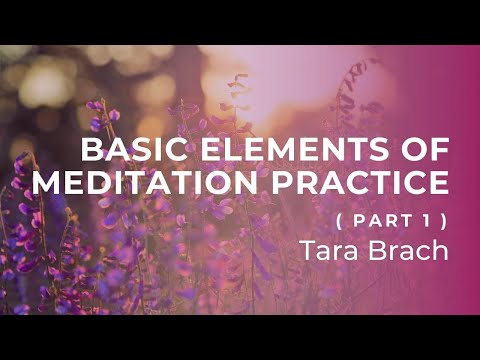 Basic Elements of Meditation Practice with Tara Brach (Part 1)