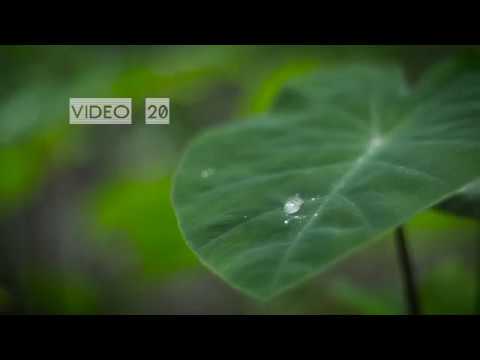 VIDEO 20 / In Point / #avideoaday