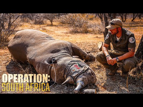 HUNTING 1 in 6000 animals: The black rhinoceros | Operation: South Africa E3 | KUNI