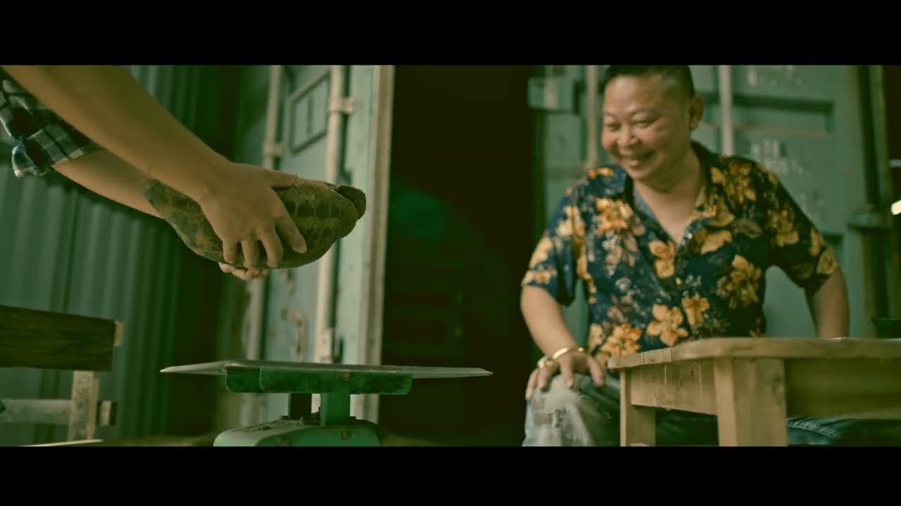 MUA RÙA NUÔI TỘI ÁC