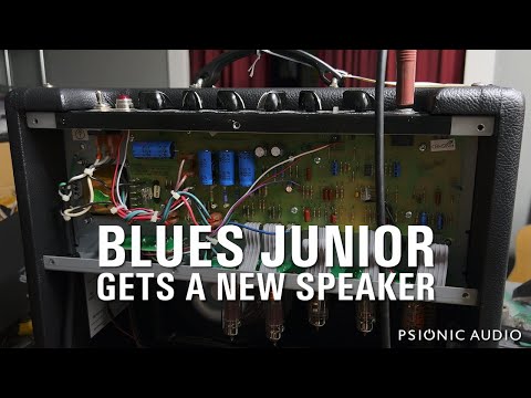 Blues Junior Gets a New Speaker