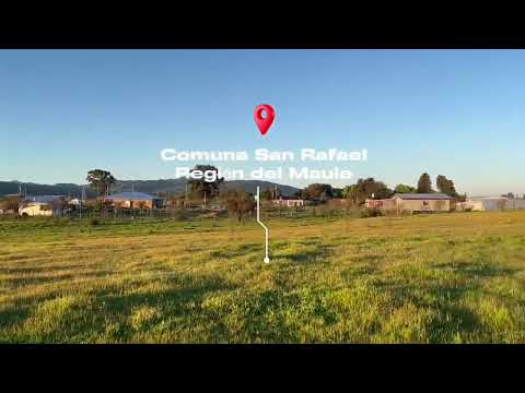 Venta de Parcela Agrícola de 10.400 mts2 sector Las Paredes, comuna de San Rafael, región del Maule.