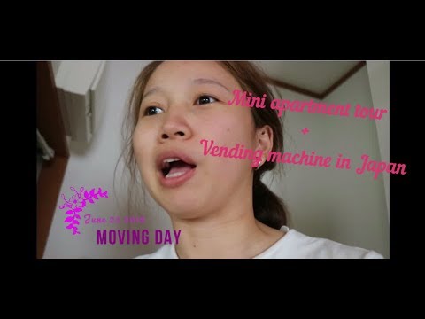 Living alone + Mini Apartment tour | #WandeRein