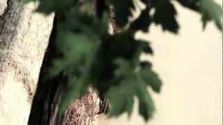 Mauro Ermanno Giovanardi | Il Fratello | Le Luci al Neon dei Baracchini | La Crus