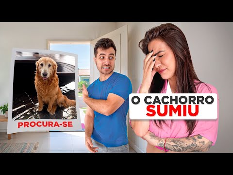 O CACHORRO FUGIU NA RUA ! - MALOUCOS 