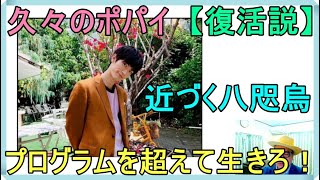 三浦春馬さんの事件「最期のポパイ（木村拓哉氏）」「猫様（城田優氏）」「遮二無（田中卓志氏）」「豆腐（有吉弘行氏）」