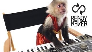 READY NEVER - Assistant Press Play (Version W/ Intro Dialogue)