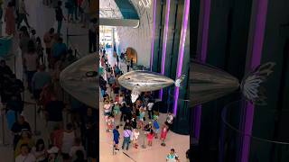 Dubai’s AI Bird 🦢 artificial intelligence #dubai #tech #technology #ai #explore #robot #trending