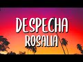 ROSALÍA - Despecha (Letra/Lyrics)