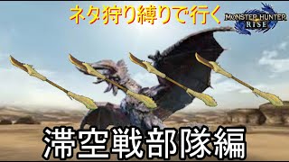 [MHRISE]滞空戦部隊が行く主角竜