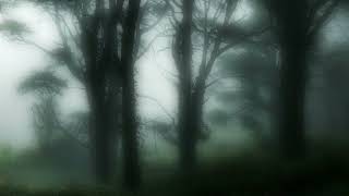 Download lagu the neighbourhood - softcore (sped up) mp3 Download lagu the neighbourhood - softcore (sped up) mp3