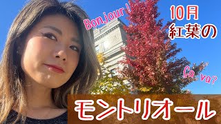 【女子旅】フランス語圏。10月紅葉ピークのモントリオール！