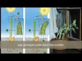 12. Sınıf  Biyoloji Dersi  Bitkisel Hormonlar Yalvaç Fen Lisesi Biyoloji Şarkıları. konu anlatım videosunu izle