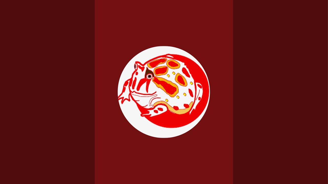 benimamusi がライブ配信中！