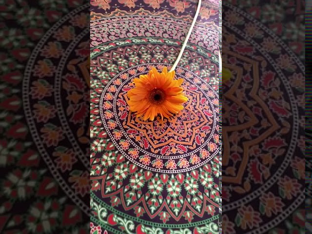 Vídeo relacionado con Indian Consigners Mantel de terciopelo grande para uso multiusos, para altar tarot (dorado)