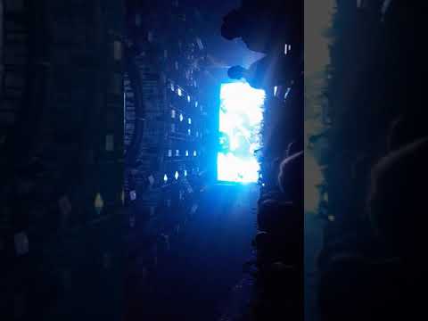 Limp bizkit 2020 cover nirvana slts heart-shaped box