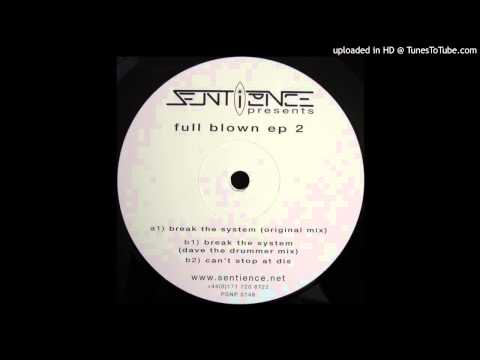 Sentience - Break the System (D.A.V.E The Drummer Remix) (Acid Techno 1999)