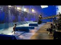 Making Of The Jungle Book Behind The Scenes VFx
